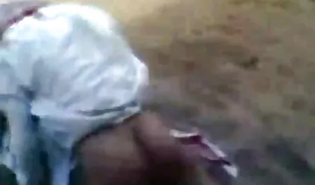 細身のサメの馬を撫でる白いひよこ 女子 用 えろ