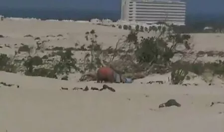 Minx大きなおっぱいとteases彼女の恋人 女性 向け エロ い