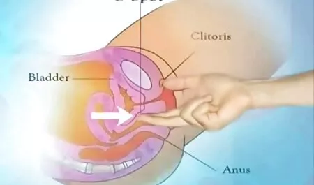 黒檀隣人油アップa巨大ディルドとフライドポテトa 女性 向け の アダルト phat ass彼女に彼女の滑り