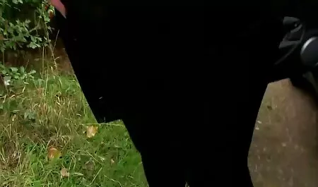 ドイツ人の群衆は、スインガー gangbangで成熟した雛とmilfsをファックします 女 用 アダルト 動画