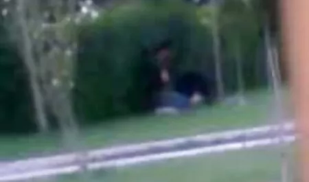 恐竜母親ください多くの性機 女性 向け 動画 無 修正