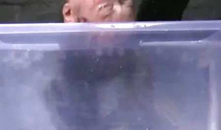 年上の妻ザーメンコンパイル 女 向け エ