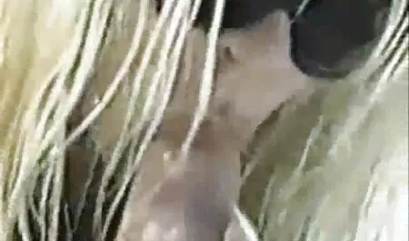 ピンクのTシャツのブルネットは、鋳造でZºとLを示しています 女の子 の ため の 無料 アダルト 動画