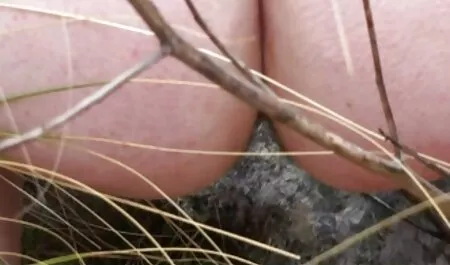 ティーンと巨乳masturbatesオンcam 女性 用 アダルト サイト 無料